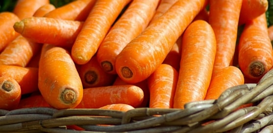 are carrots safe for rats?
