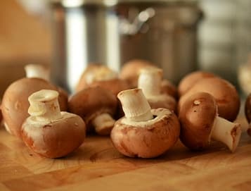 are mushrooms safe for rats?