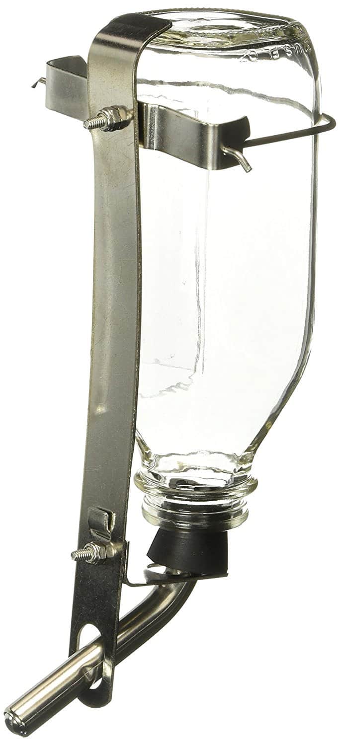 Lixit Pet Glass Water Bottle